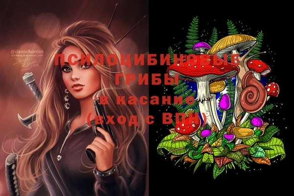 индика Богданович