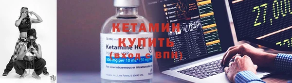 индика Богданович