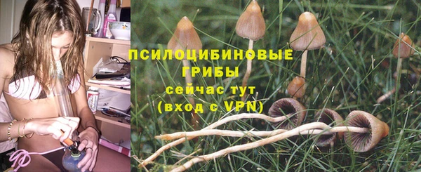 не бодяженный Верея
