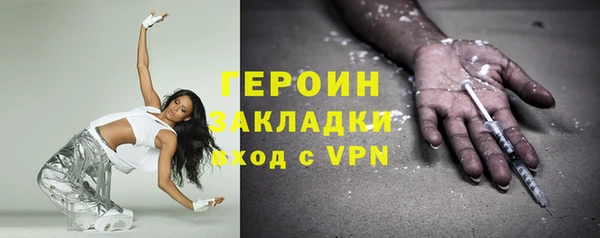 индика Богданович