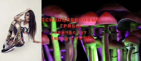 jwh Богородицк