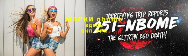 индика Богданович